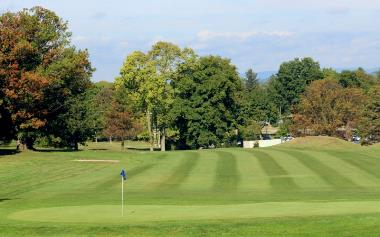 Golf Greens Close Up Sep 19_800x500